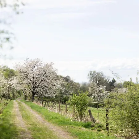 Haus Ute شقة شوتن