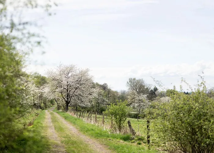 Haus Ute Appartamento Schotten